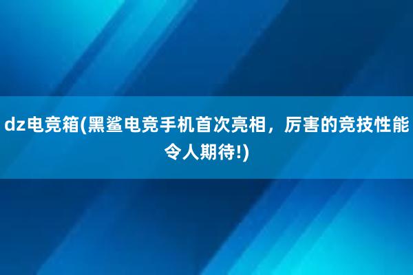 dz电竞箱(黑鲨电竞手机首次亮相，厉害的竞技性能令人期待!)