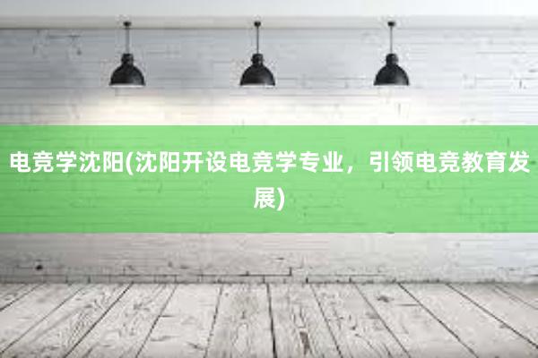 电竞学沈阳(沈阳开设电竞学专业，引领电竞教育发展)