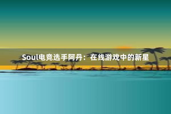 Soul电竞选手阿丹：在线游戏中的新星