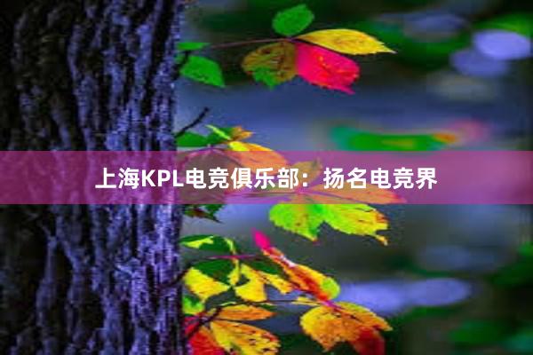 上海KPL电竞俱乐部：扬名电竞界