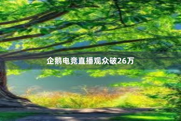 企鹅电竞直播观众破26万