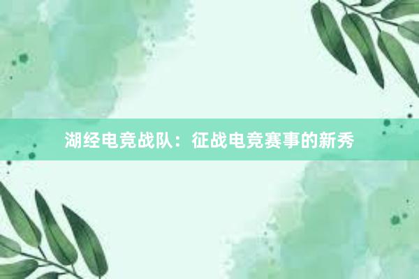 湖经电竞战队：征战电竞赛事的新秀