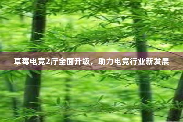 草莓电竞2厅全面升级，助力电竞行业新发展