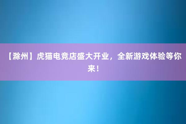 【滁州】虎猫电竞店盛大开业，全新游戏体验等你来！